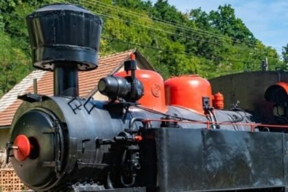 Dollywood Closing Rumors Truth 2025