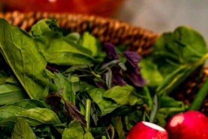 Jane Goodall Death Vegan Lifestyle