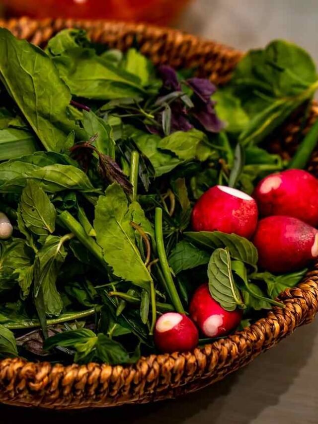 How Jane Goodall’s Vegan Lifestyle Inspired Millions