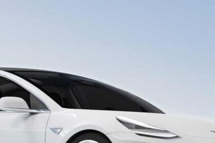 Tesla GM EV Sales Record 2025